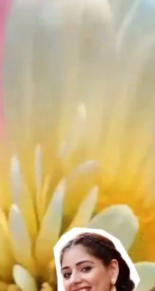 Small Ratio Capcut Template