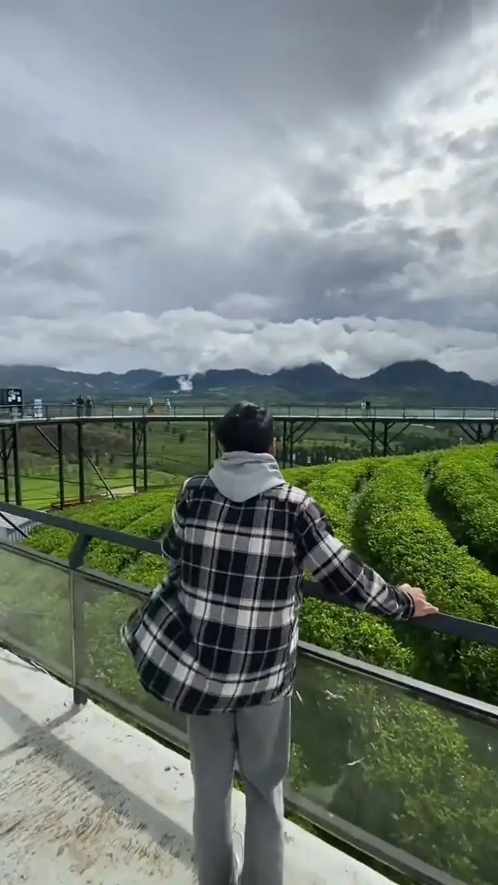 Healing Slowmo Template For Capcut Edits